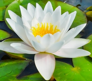 0200f5f1-e356.png