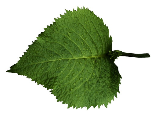 0200f5f4-f8e5.png