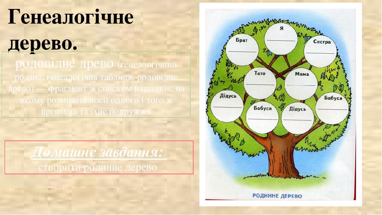 Генеологичне дерево шаблон картинки для школы