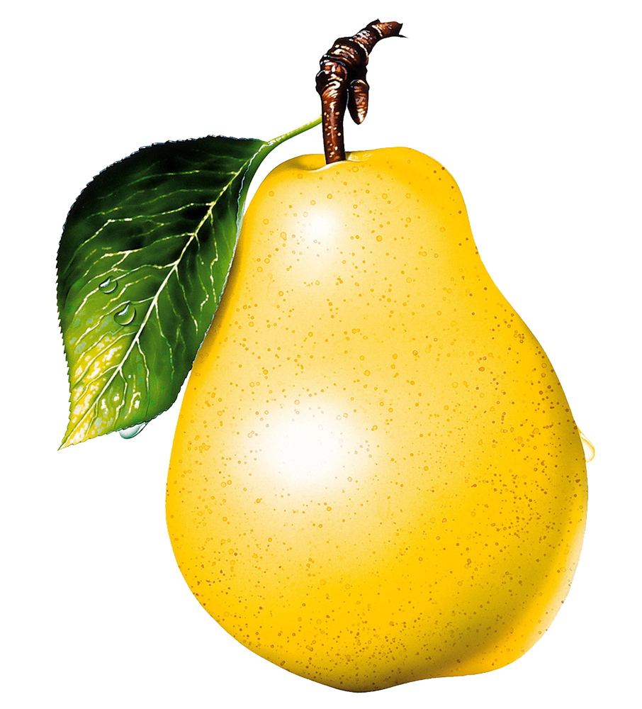 0200f8hh-7046.png