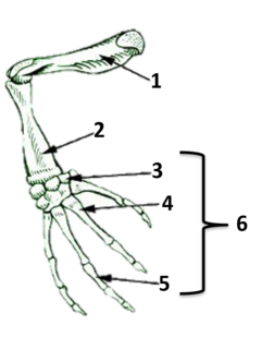 0200f8il-ecc2-231x296.png
