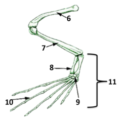 0200f8je-d3f3-239x235.png