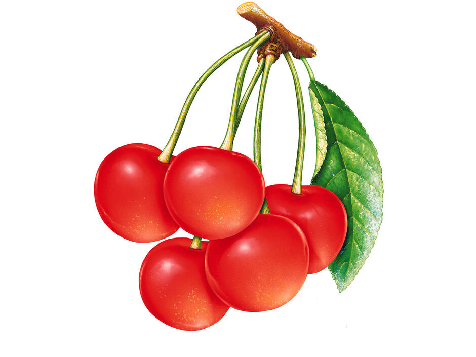 0200f8k9-122e-940x705.jpg