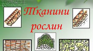  " Тканини рослин"