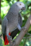 0200fa82-b370-62x92.png