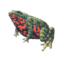 0200fdjh-7cc5.png