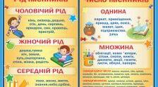 Число.Рід іменників.