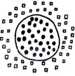 0200fexa-1659-262x265.png