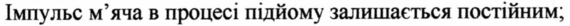 0200ffws-2e40-570x26.png