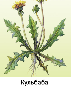 0200fhgy-f438-239x294.png