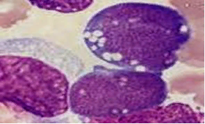 0200fi9c-8a26.png