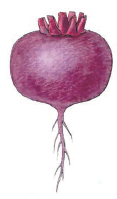 0200fieo-dde3-191x325.png