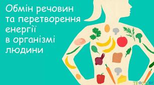 (Копія) Обмін речовин та перетворення енергії. Біологія 10 клас