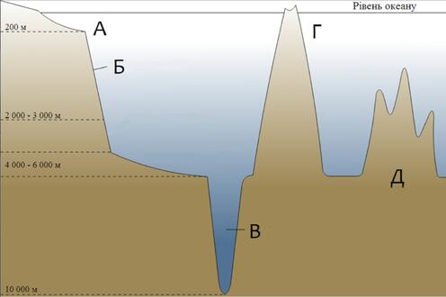 0200fk5i-195e-496x330.jpg
