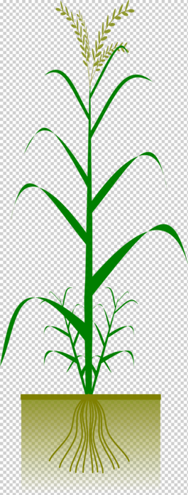 0200fmg9-e9da-265x696.png