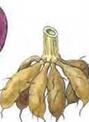 0200fn9x-23d9-144x198.jpg