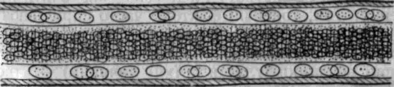 0200fo8o-3bdc-394x87.png