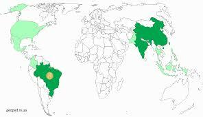 0200fpxy-0263-436x250.jpg