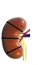 0200fq63-d9d4.png
