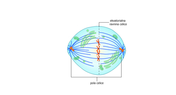 0200frfx-405d-586x316.png