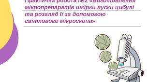 Презентація до практичної роботи №2. Біологія. 6 клас. Дистанційне навчання.