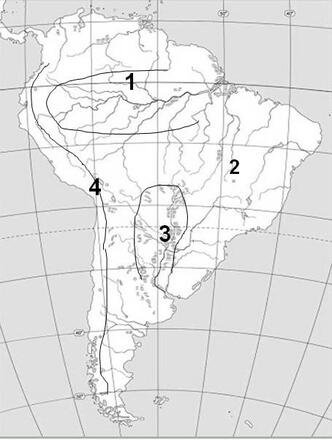 0200fucl-e381-332x440.jpg