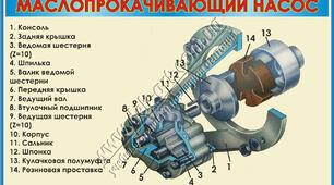 Будова маслопрокачуючого насоса тепловоза.