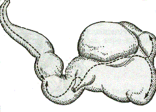 0200fyt4-0582.png