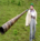 0200fyz6-9fbd.png