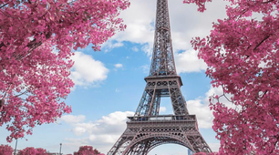 Сценарій "Les printemps français en Ukraine "