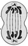 0200g219-b8e2.png