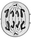 0200g21k-887d.png