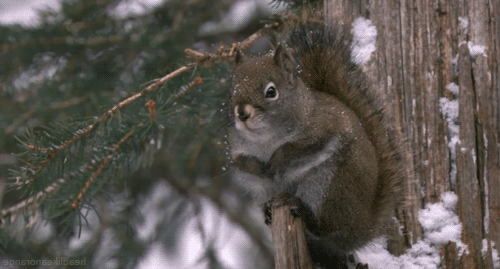 0200g3ab-e6a0-577x310.gif