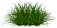 0200g3d6-3d38-195x99.png