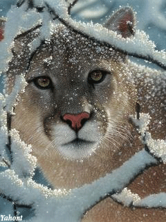 0200g3dm-f8ca-606x808.gif