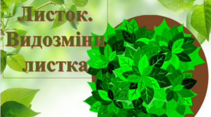 Презентація на тему "Листок.Видозиіни листка"