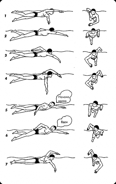Плавання | Тест на 7 запитань. Фізична культура