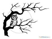 0200g9kz-7668-174x129.jpg