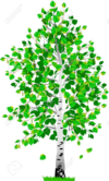 0200gc0q-4d29-160x265.png