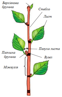 0200gdzp-75b0-261x405.png
