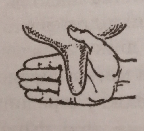 0200ge03-b92e.jpg