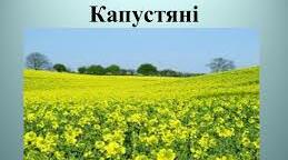 Флеш-картки для 6 класу "Родина Капустяні"