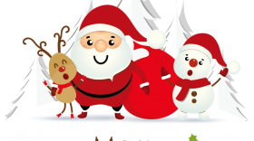Grammar exercises "Christmas revision test"