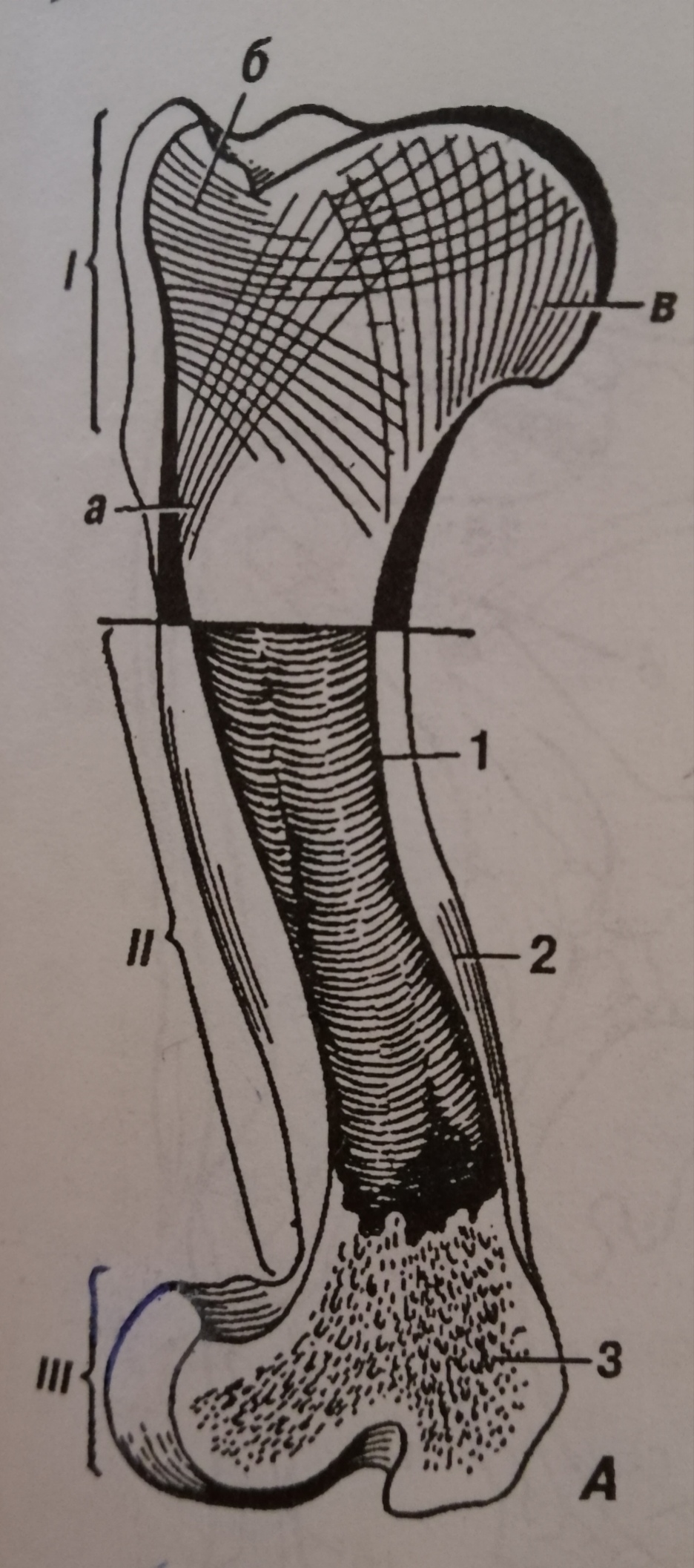 0200gjmi-884b.jpg