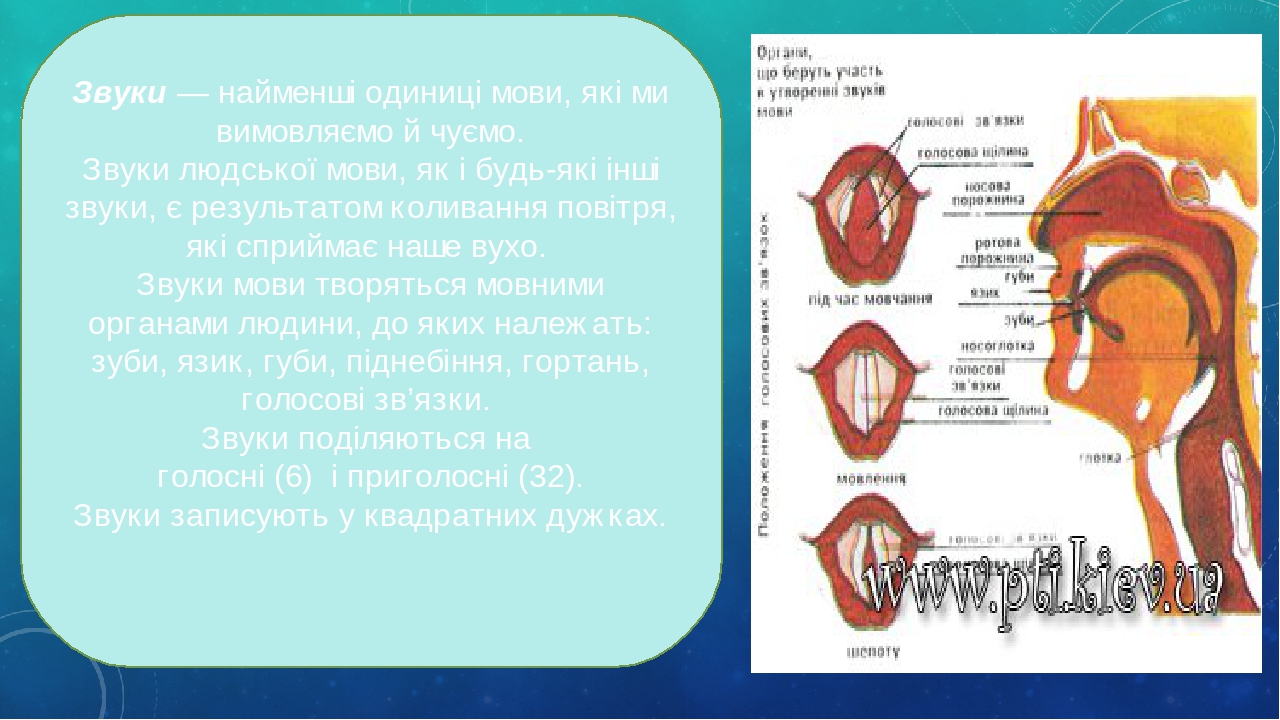 Звуки сузуки кибербойчик