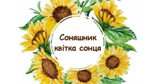 Практична частина навчання дітей складати порівняння двох різних об’єктів на основі твору В.Сухомлинського «Квітка Сонця» з викоритсанням прийомів освітньої мнемотехніки.