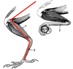 0200gl8m-6fa3-284x270.png