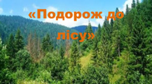 Бінарний нетрадиційний урок з логоритміки та природознавства в 4 класі.