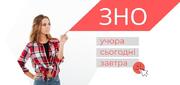 Чи здатне ЗНО з математики та української замінити знання з профільних предметів при вступі на юрфак, фізику чи в медінститут?