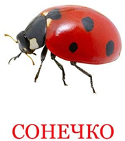 0200gow9-065a.png